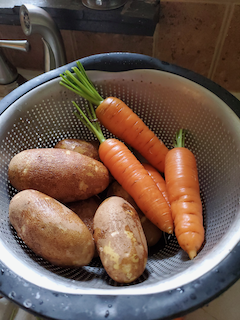 Feasting: Potato and carrots